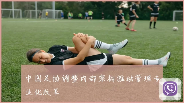中国足协调整内部架构推动管理专业化改革