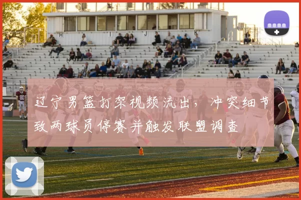 辽宁男篮打架视频流出，冲突细节致两球员停赛并触发联盟调查