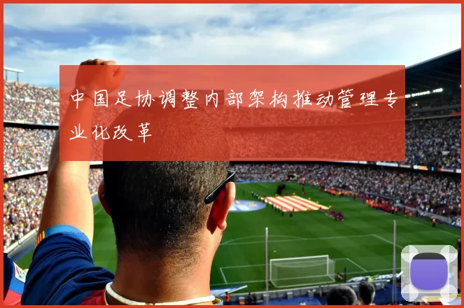 中国足协调整内部架构推动管理专业化改革