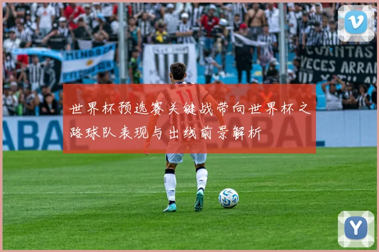 世界杯预选赛关键战带向世界杯之路球队表现与出线前景解析